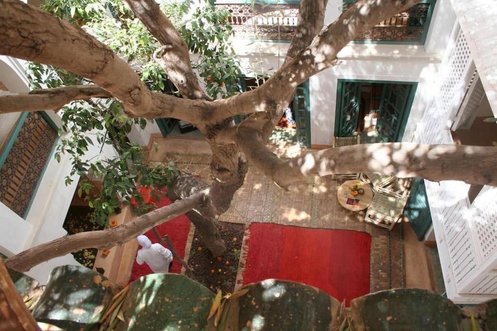 Riad Dar Zitouna Marrakesh - Entire House In Exclusivity Eksteriør billede